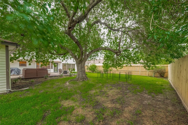 view of yard with a jacuzzi