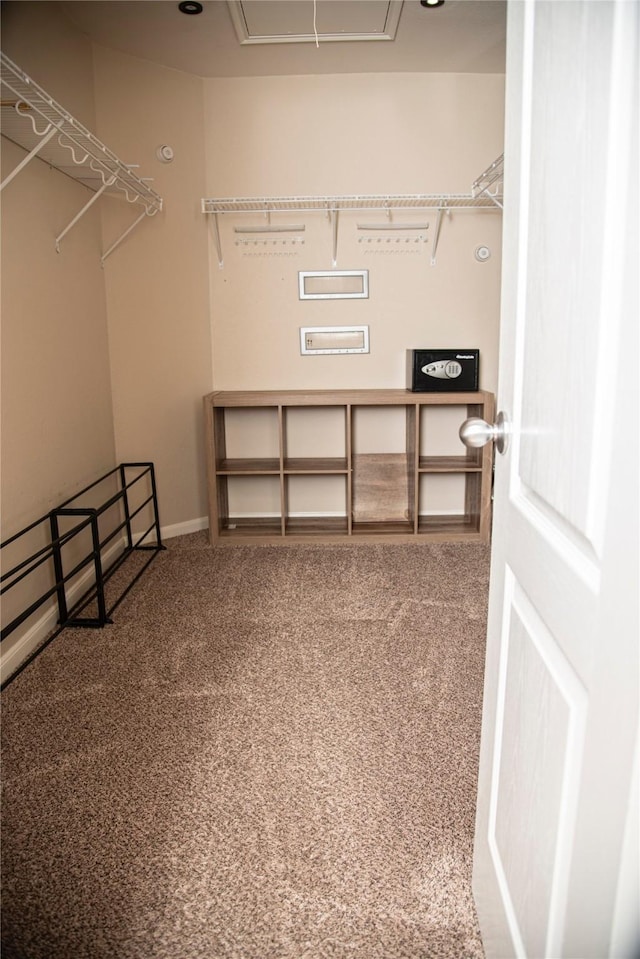 walk in closet featuring attic access and carpet floors