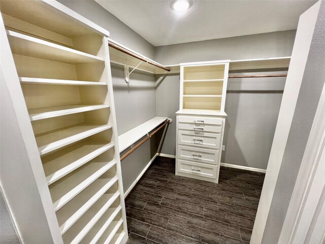 37 Ranch House Loop, Angleton, TX 77515 - walk in closet with dark wood-style floors