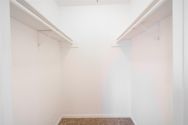 walk in closet with carpet floors