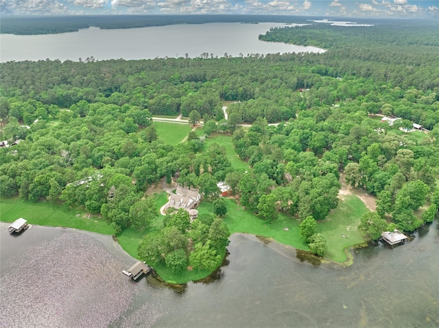 15050 Lake Paula Dr, Willis, TX 77318 - drone / aerial view of a forest and a large body of water