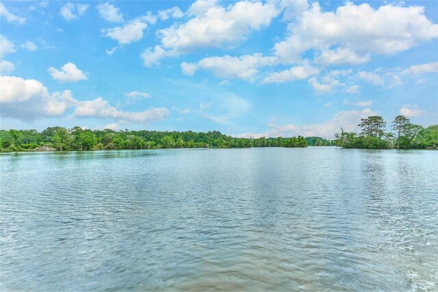 15050 Lake Paula Dr, Willis, TX 77318 - water view with a heavily wooded area