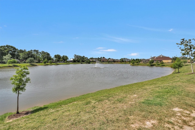 18239 Rustic Springs Dr, Tomball, TX 77375 - water view