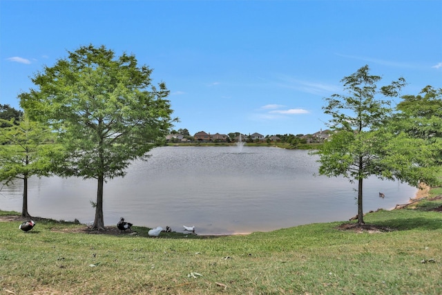 18239 Rustic Springs Dr, Tomball, TX 77375 - water view