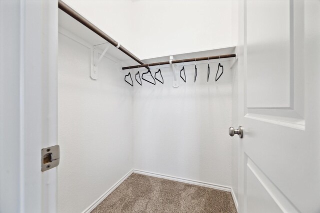 spacious closet featuring carpet floors