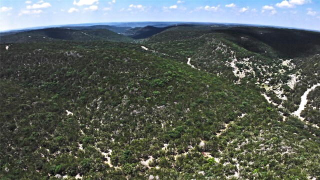 LOT129 Spring Country Ranch Rd, Leakey, TX 78873