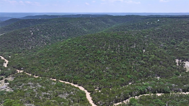 LOT129 Spring Country Ranch Rd, Leakey, TX 78873