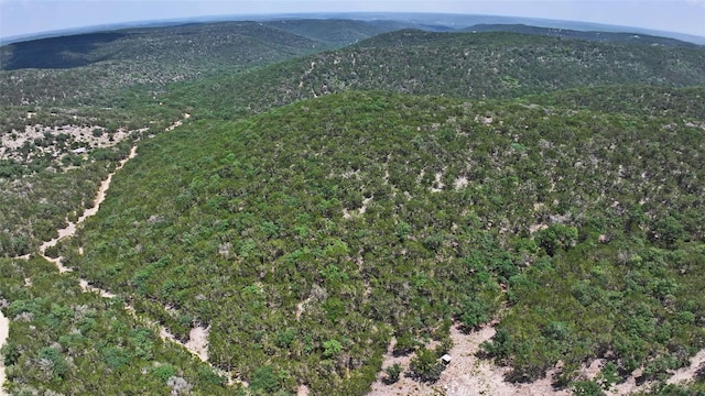LOT129 Spring Country Ranch Rd, Leakey, TX 78873