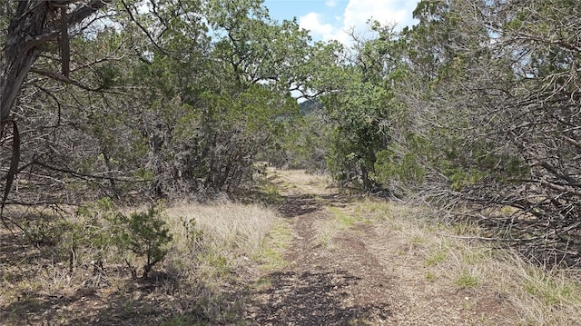 LOT129 Spring Country Ranch Rd, Leakey, TX 78873