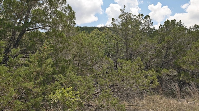 LOT129 Spring Country Ranch Rd, Leakey, TX 78873