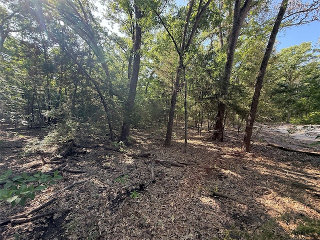 TRACT2 Fcr 611, Teague, TX 75860