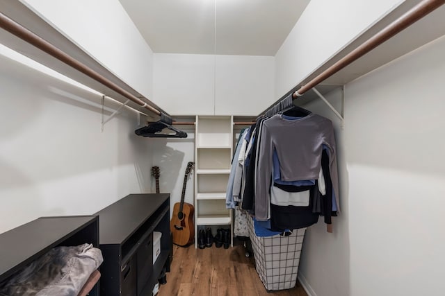 walk in closet featuring wood finished floors