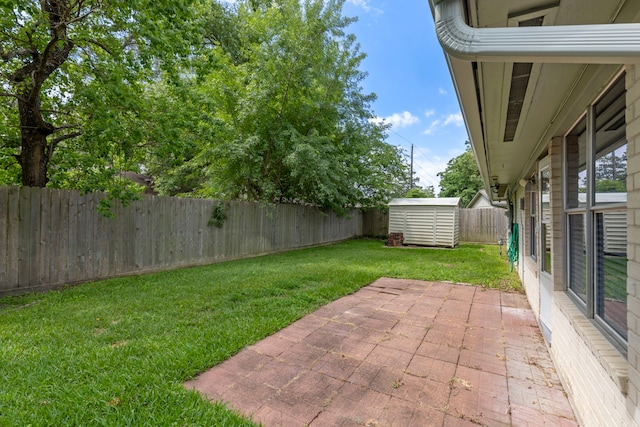 view of yard with a patio, a storage shed, and an outdoor structure