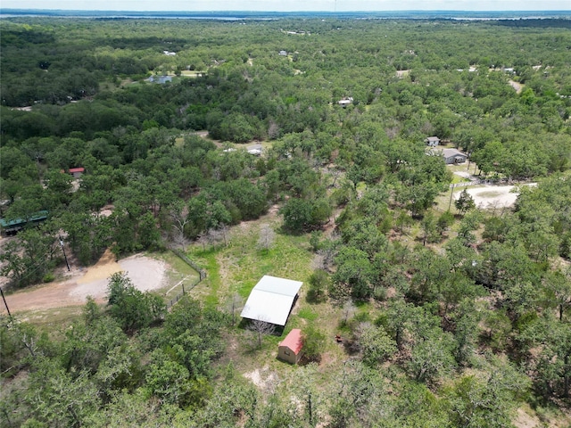 385 Indian Ridge Dr, Somerville, TX 77879 - photo 29