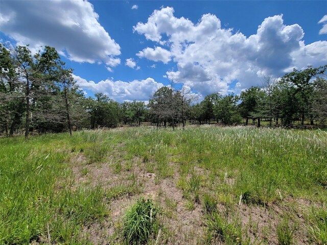 385 Indian Ridge Dr, Somerville, TX 77879 - photo 5