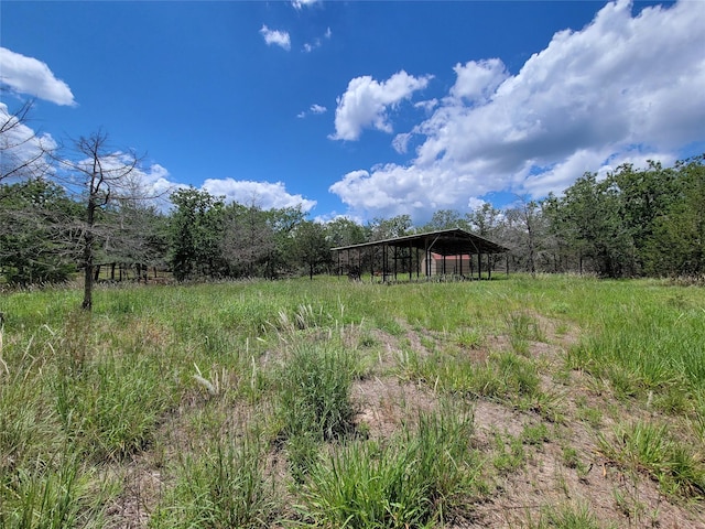 385 Indian Ridge Dr, Somerville, TX 77879 - photo 6