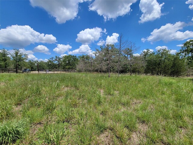 385 Indian Ridge Dr, Somerville, TX 77879 - photo 8