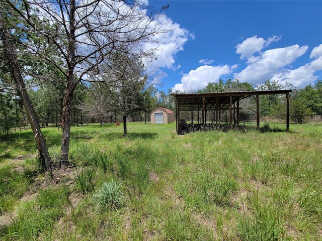 385 Indian Ridge Dr, Somerville, TX 77879 - photo 9