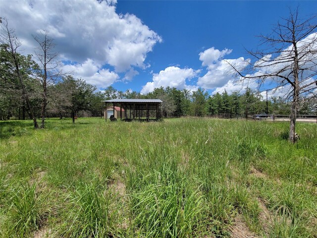 385 Indian Ridge Dr, Somerville, TX 77879 - photo 10
