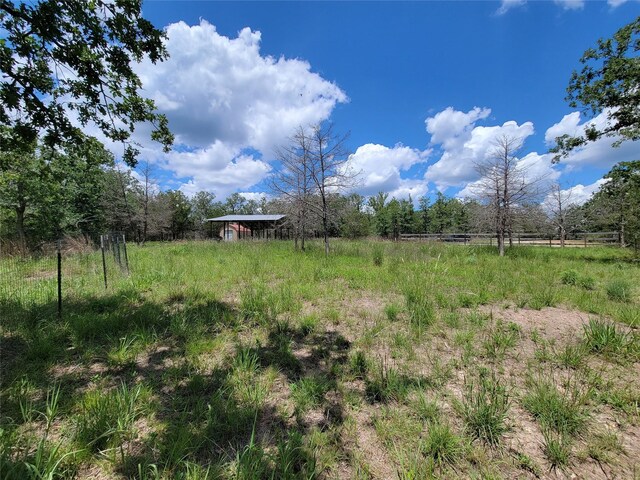 385 Indian Ridge Dr, Somerville, TX 77879 - photo 11