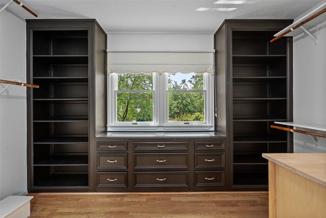 spacious closet with light wood-type flooring
