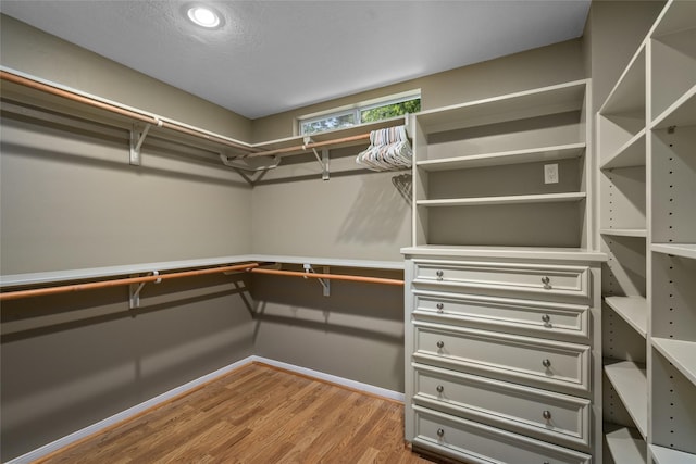 walk in closet with wood finished floors