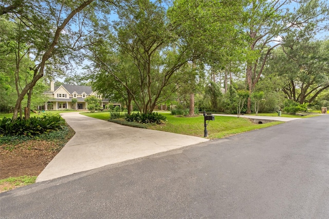 view of front of property featuring concrete driveway and a front lawn