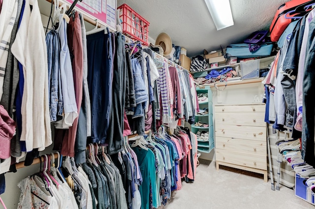 walk in closet with carpet