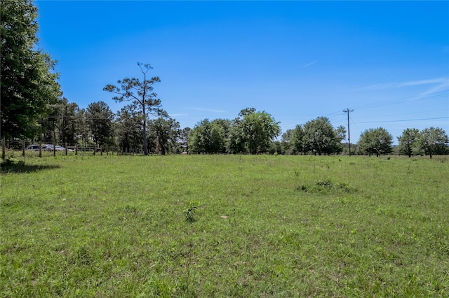 94.888 Fm 2550, Huntsville, TX 77320 - photo 2