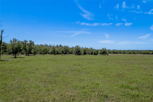 94.888 Fm 2550, Huntsville, TX 77320 - photo 5