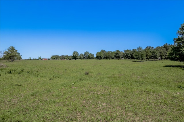 94.888 Fm 2550, Huntsville, TX 77320 - photo 6
