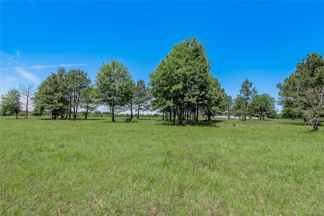 94.888 Fm 2550, Huntsville, TX 77320 - photo 29