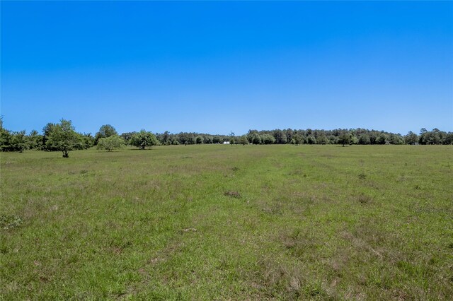 94.888 Fm 2550, Huntsville, TX 77320 - photo 11