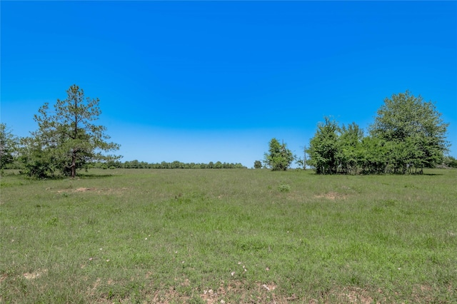 94.888 Fm 2550, Huntsville, TX 77320 - photo 31