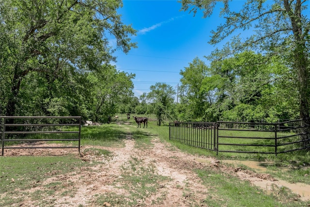94.888 Fm 2550, Huntsville, TX 77320 - photo 33