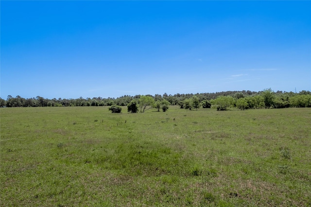94.888 Fm 2550, Huntsville, TX 77320 - photo 8