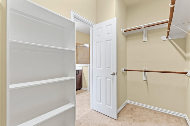 walk in closet with carpet floors