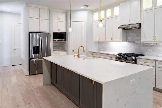 kitchen featuring appliances with stainless steel finishes, under cabinet range hood, a sink, light wood finished floors, and recessed lighting