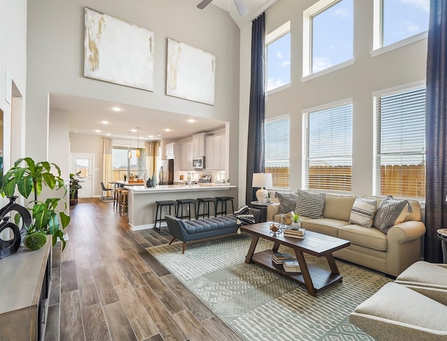 living area featuring dark wood-style flooring, a high ceiling, and plenty of natural light