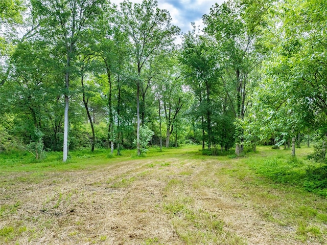 TBD Schwartz Rd, Washington, TX 77880