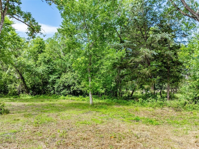 TBD Schwartz Rd, Washington, TX 77880