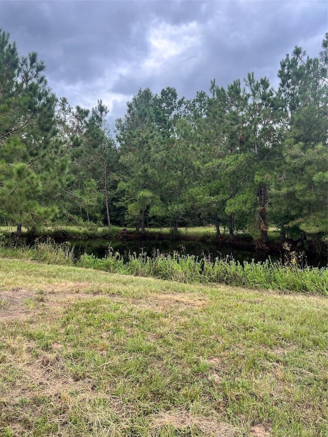 TBD County Road 2314, Dayton, TX 77535 - photo 5