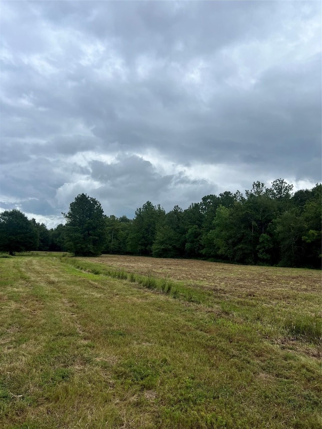 TBD County Road 2314, Dayton, TX 77535 - photo 6