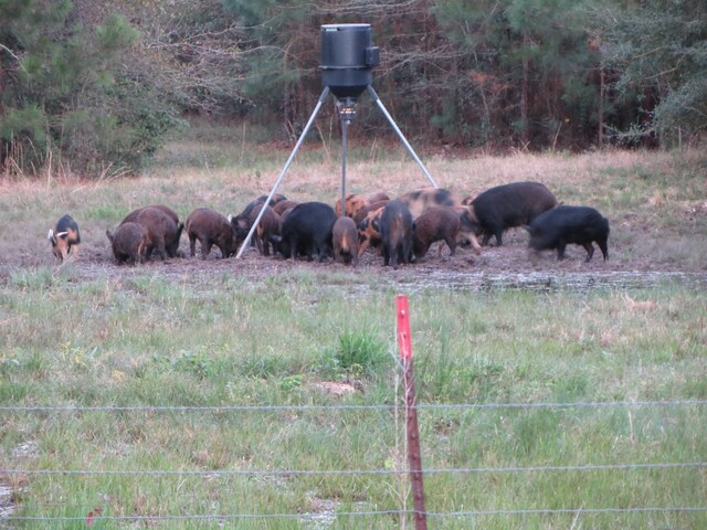 TBD County Road 2314, Dayton, TX 77535 - photo 14