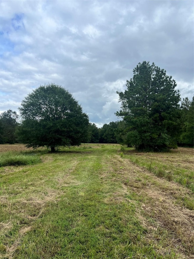 TBD County Road 2314, Dayton, TX 77535 - photo 2