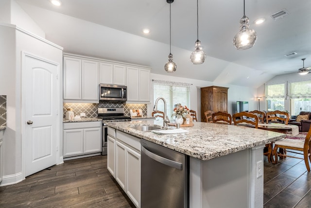 29411 Barker Meadow Ln, Katy, TX 77494 - kitchen featuring stainless steel appliances, a sink, lofted ceiling, dark wood finished floors, and open floor plan