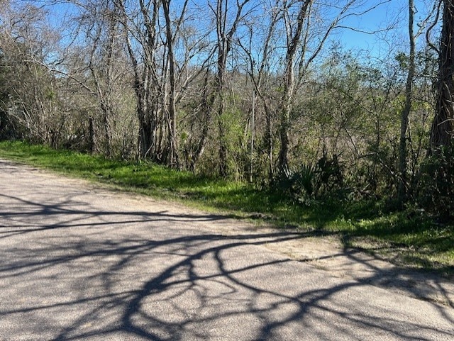 00 Woodland Ln, Dayton, TX 77535