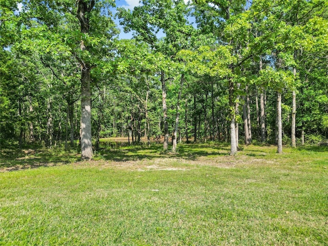 452 N Ghost Branch Rd, Trinity, TX 75862 - view of yard