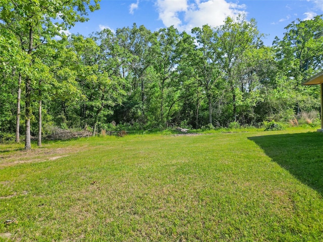 452 N Ghost Branch Rd, Trinity, TX 75862 - view of yard