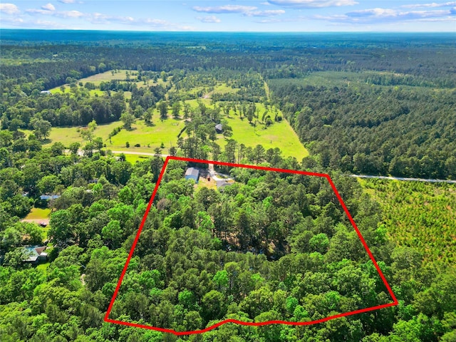 452 N Ghost Branch Rd, Trinity, TX 75862 - bird's eye view featuring a wooded view